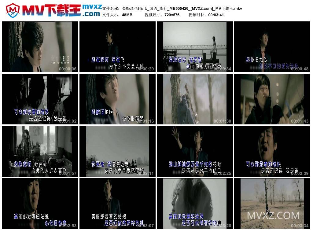 金熙泽-泪在飞_国语_流行_MB505426